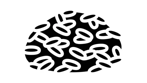 Brown rice glyph icon animation Stock Footage 224939489