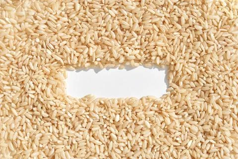 Brown rice grains forming a rectangular border on white background 写真素材
