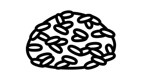 Brown rice line icon animation Stock Footage 224959836