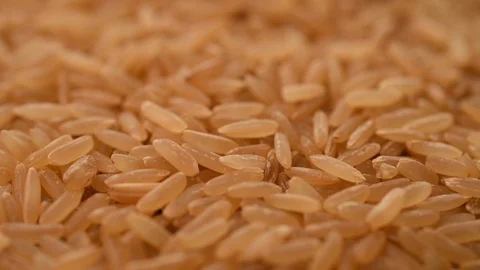 Brown rice macro closeup Video stock 111953383