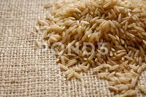 Brown rice Stock Photos