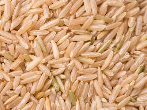 Brown rice Stock Photos
