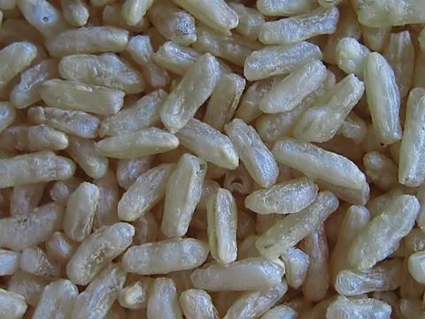 Brown Rice Stock Photos