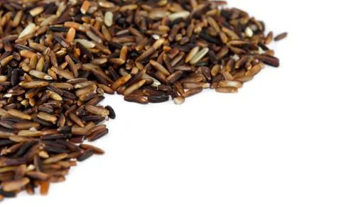 Brown rice Stock Photos