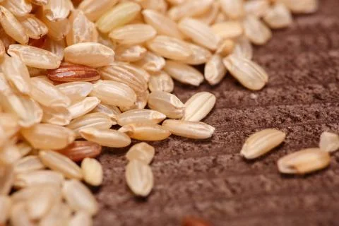 Brown rice Stock Photos