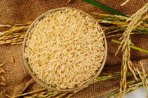 Brown rice Foto stock