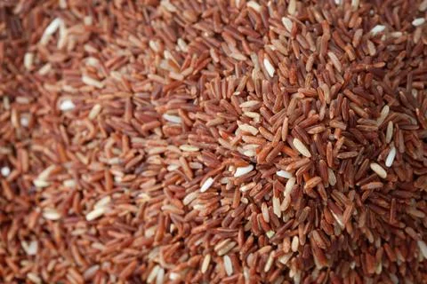 Brown rice Stock Photos