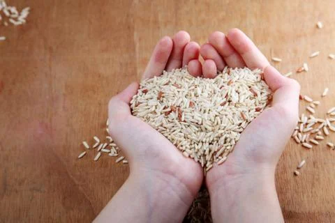 Brown rice 스톡 사진