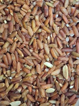 Brown rice Stock Photos