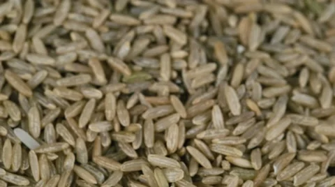 Brown rice is poured on top Stock Footage 56048875