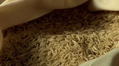 Brown rice in a sack Stock Footage 8572332