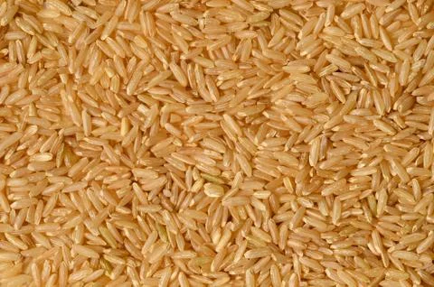 Brown rice uncooked Stock Photos