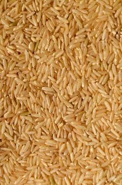 Brown rice uncooked Stock Photos