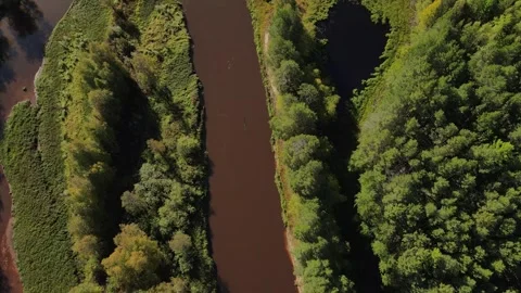 Brown river between the trees of taiga forest. Aerial view Stock Footage 302275492