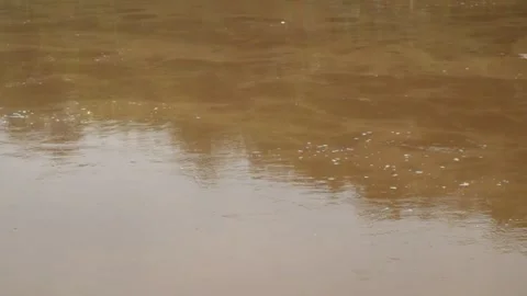 A brown river flowing in flood Stock Footage 321320430