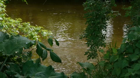 Brown river flowing by. Video stock 5298068