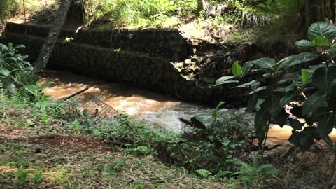 Brown river Stock Footage 248687315