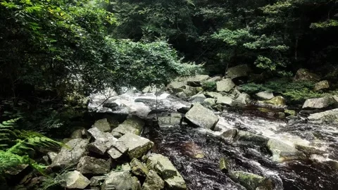 Brown River Full HD Video Stock Footage 319924062