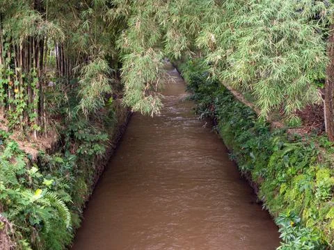 Brown river Stock Photos