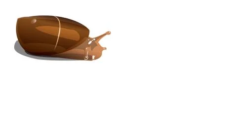 Brown river snail on white background isolate Stock Illustration