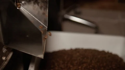 Brown roasted beans are pouring into a metal bowl. Stock Footage 108103592