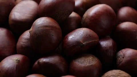 Brown roasted chestnut nuts background Stock Footage 280468551