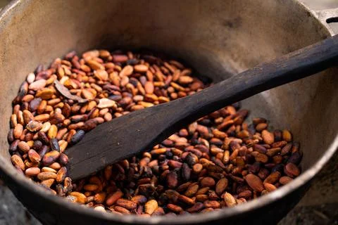Brown roasted cocoa beans. Background, the process of making cocoa Stock Photos
