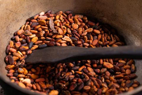 Brown roasted cocoa beans. Background, the process of making cocoa Stock Photos