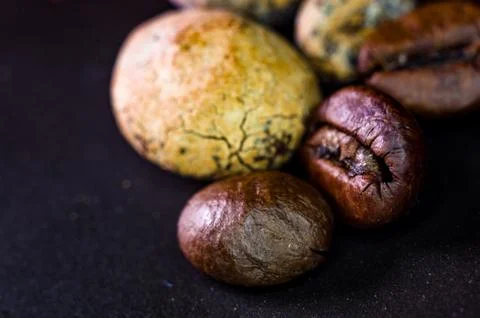 Brown roasted coffee and cocoa beans on black background, close up, macro Stock Photos