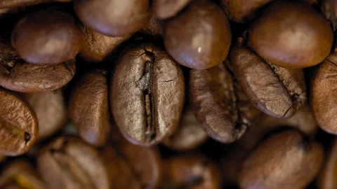 Brown Roasted Coffee Beans Animation With Chroma Key Stock Footage 315991258