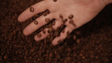 Brown roasted coffee beans are being mixed. Stock Footage 111066111