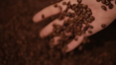 Brown roasted coffee beans are being mixed. Stock Footage 111066124