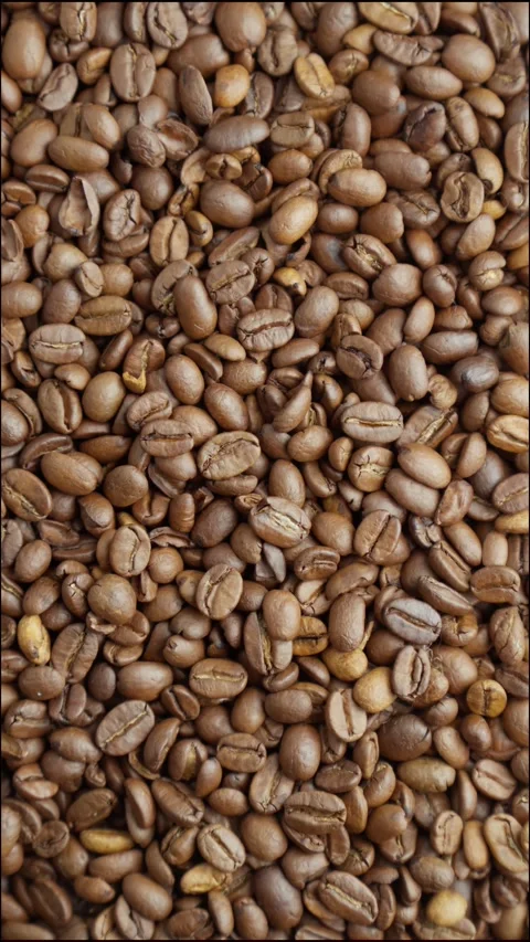 Brown roasted coffee beans background. Pile of aromatic coffee beans. Stock Footage 303698858