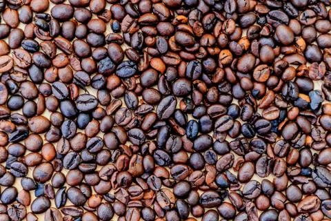 Brown roasted coffee beans (selective focus) Stock Photos