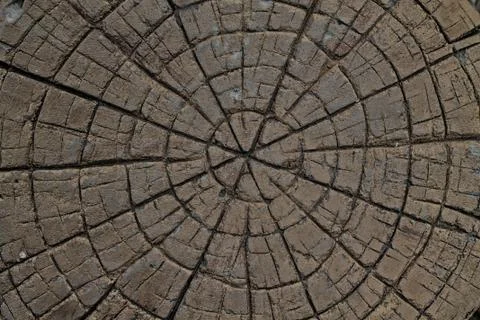 Brown rock background texture. Stock Photos