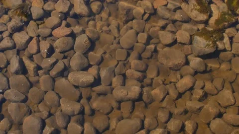Brown rocks on the river bottom Stock Footage 195092886