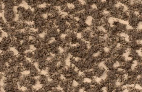 Brown rough terrain dirt and rock surface texture top down view. Illustrazione stock