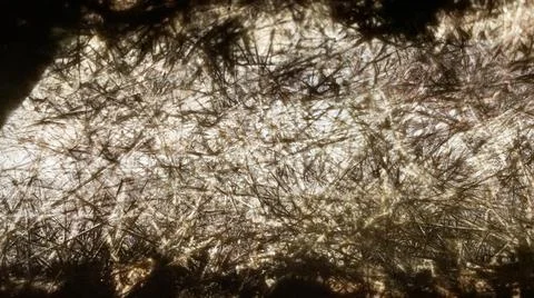 Brown rough texture abstract background Nature background  Stock Photos