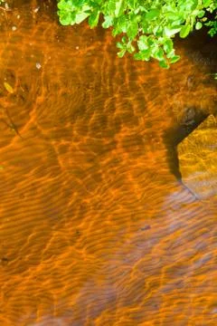 Brown sand Stock Photos