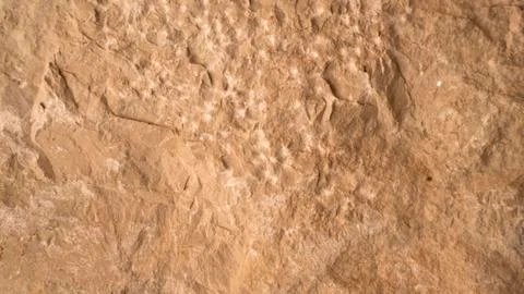 Brown sand stone texture, wall surface of old building Fotos de archivo