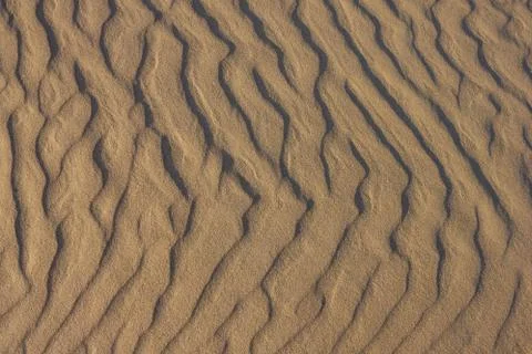Brown sand texture. Stock Photos