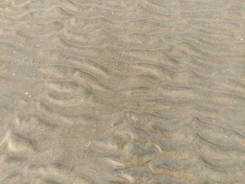 Brown sandy soil texture on the beach Stock Photos