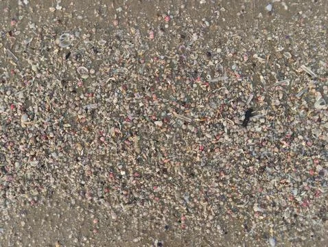 Brown sandy soil texture on the beach Stock Photos