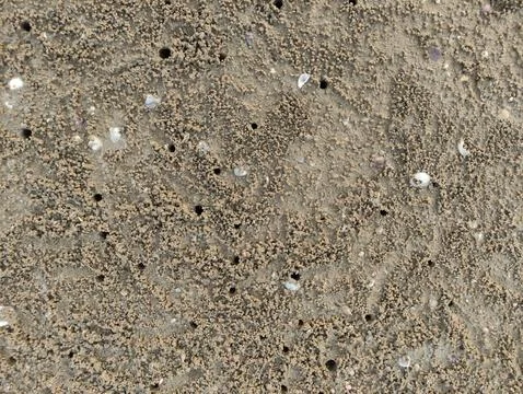 Brown sandy soil texture on the beach Stock Photos