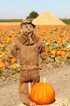 Brown Scarecrow Stock Photos