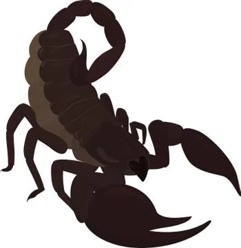 Brown scorpion with sting Illustrazione stock