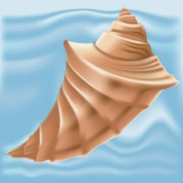 Brown Seashell isolated on Background Stock-Illustration
