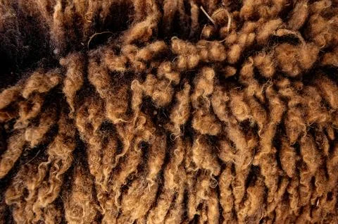 Brown sheep's wool texture or material for fabric or textile purposes Stock Photos