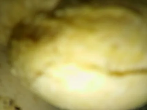 Brown shiny background with different elements in a blur effect Foto stock