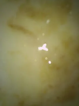 Brown shiny background with different elements in a blur effect Foto stock